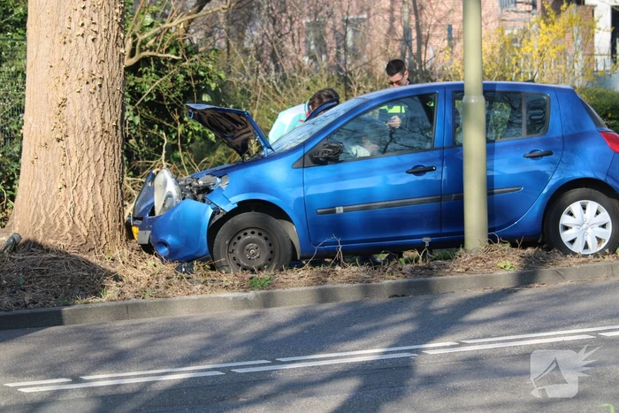 Auto raakt van de weg en botst tegen boom
