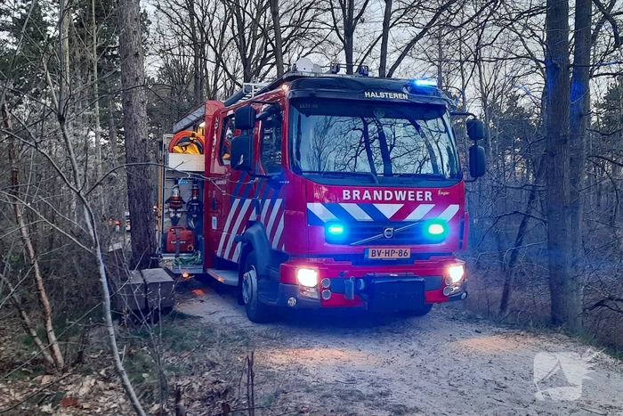 Brand in bosgebied