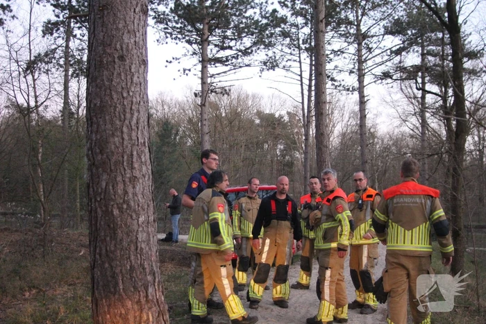 Brand in bosgebied
