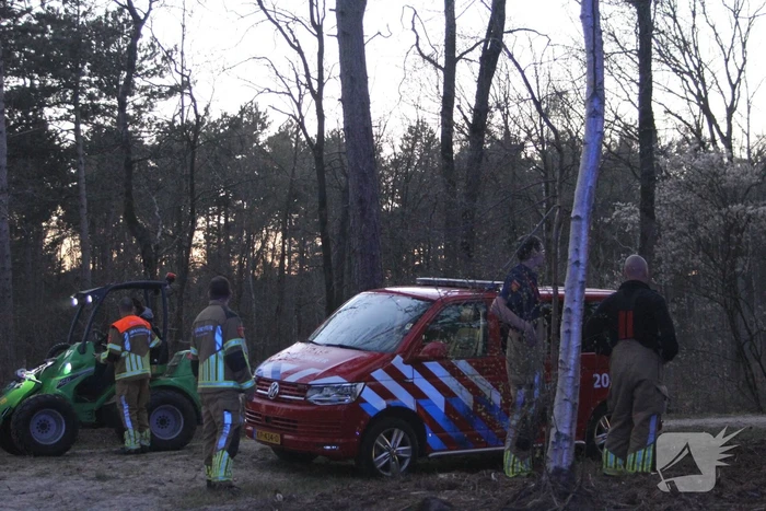 Brand in bosgebied