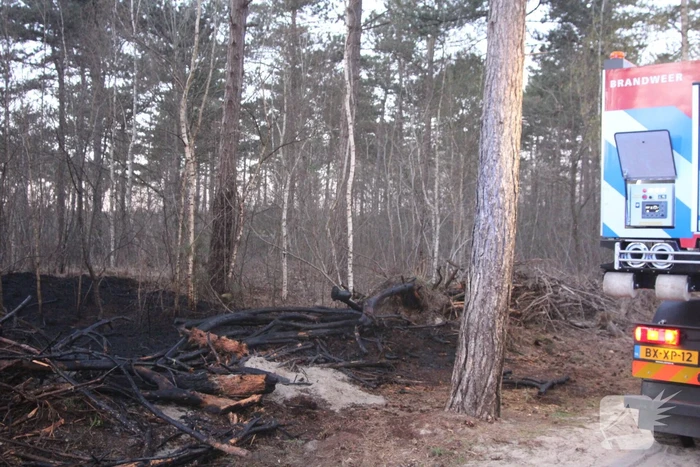 Brand in bosgebied