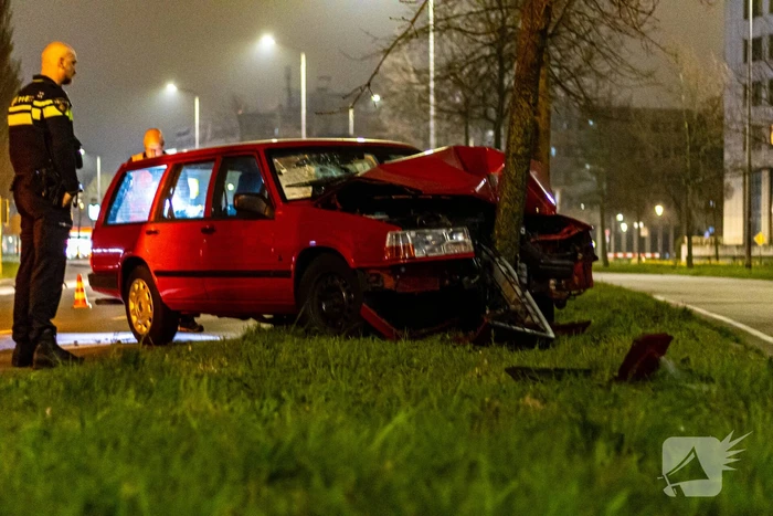 Persoon valt in slaap en botst tegen boom
