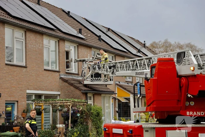 Drie verdachten voor de rechter voor doodschieten neef (15)