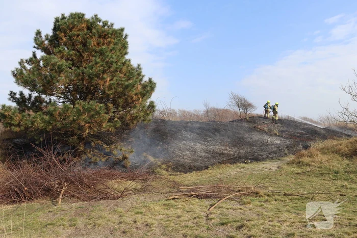 brand hengstepad den helder