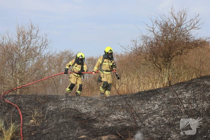 Duinen vanwege brand verwoest