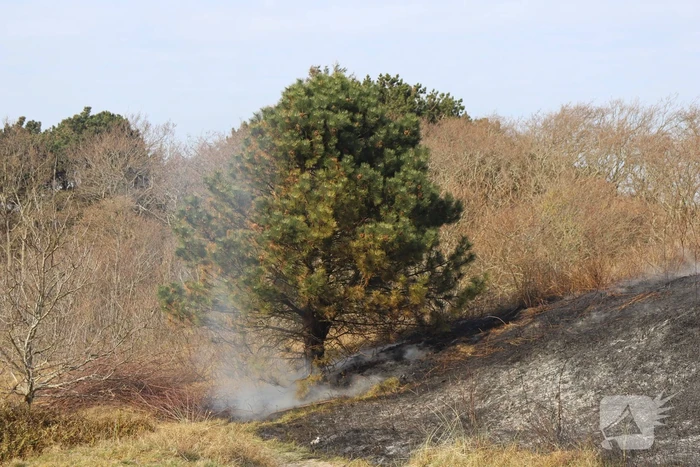 Duinen vanwege brand verwoest