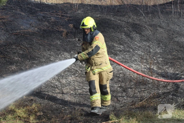 Duinen vanwege brand verwoest