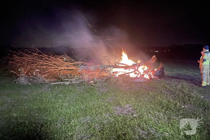 Bomen in brand op weiland