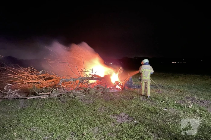 Bomen in brand op weiland