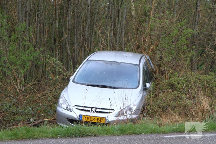 Auto raakt van de weg en belandt in bosjes