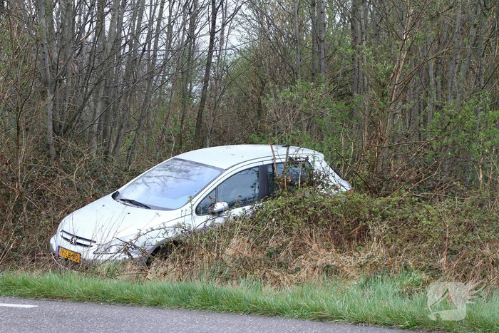 Auto raakt van de weg en belandt in bosjes