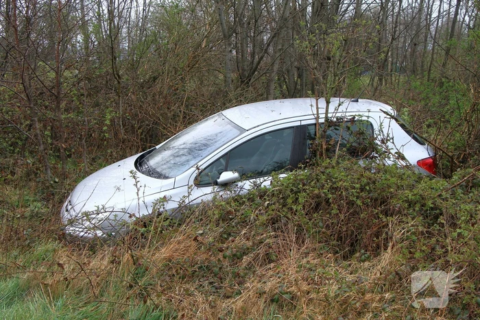 Auto raakt van de weg en belandt in bosjes