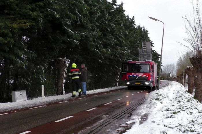 natuur hofgeesterweg velserbroek