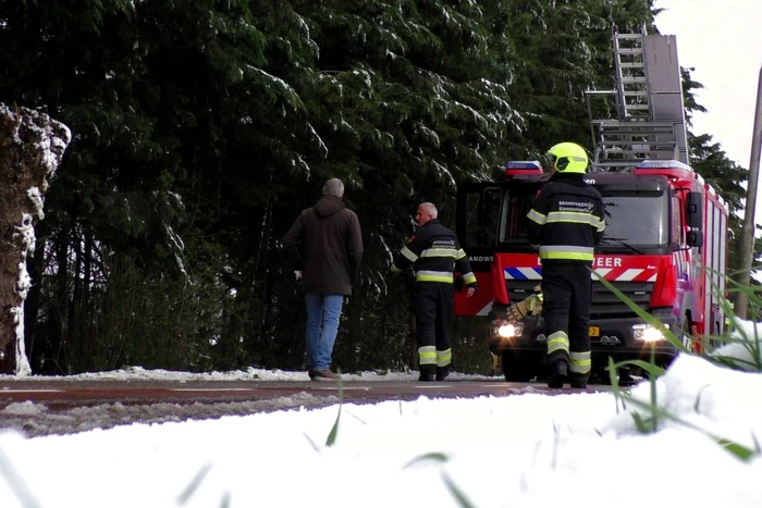 Meerdere bomen dreigen om te vallen