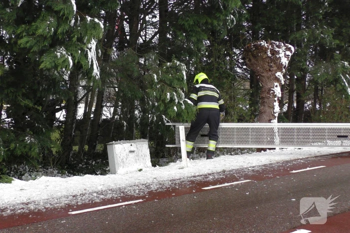 Meerdere bomen dreigen om te vallen