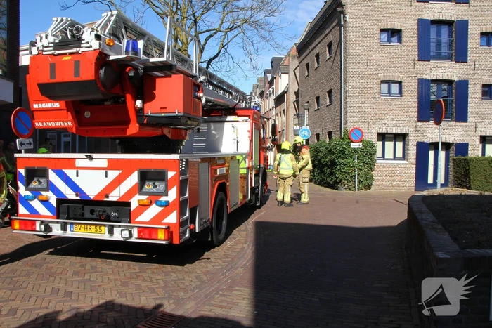 natuur paradijsstraatje weert