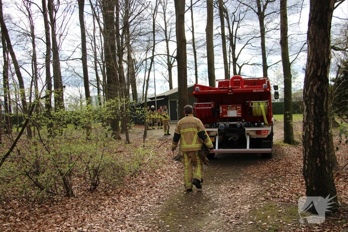 Rookontwikkeling vanwege brand in stuk bosschage