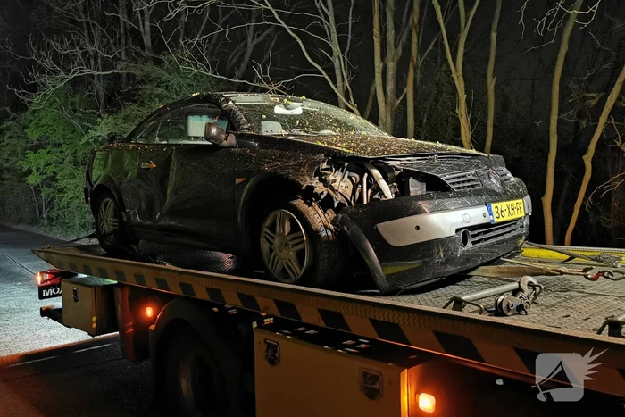 Automobilist wijkt uit voor dier op de weg