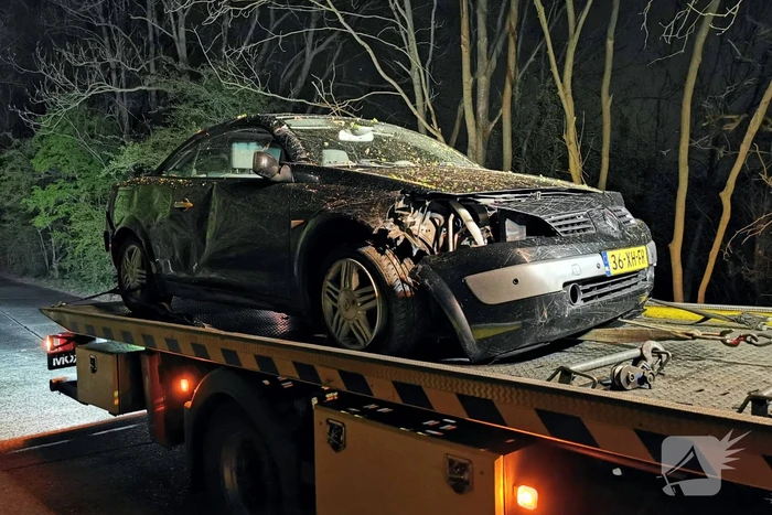 Automobilist wijkt uit voor dier op de weg