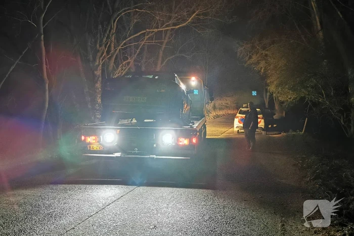 Automobilist wijkt uit voor dier op de weg