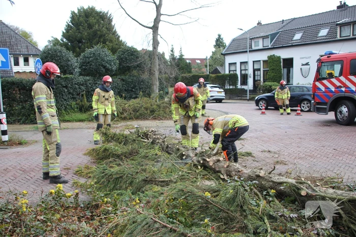 Boom valt vanuit voortuin over straat