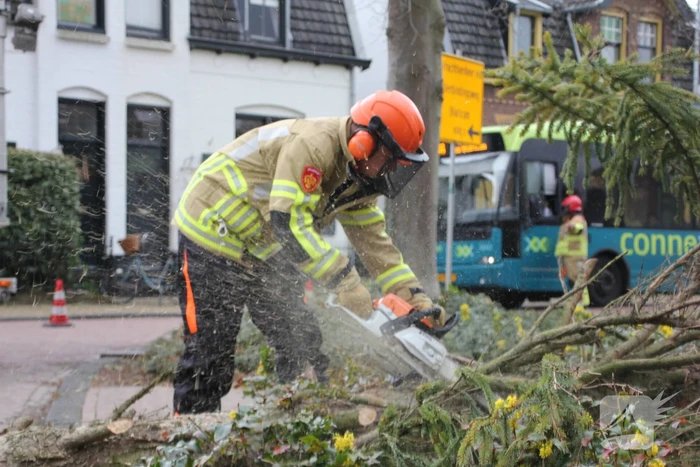 Boom valt vanuit voortuin over straat