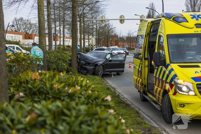 Auto vliegt uit de bocht en botst op boom