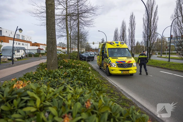 Auto vliegt uit de bocht en botst op boom