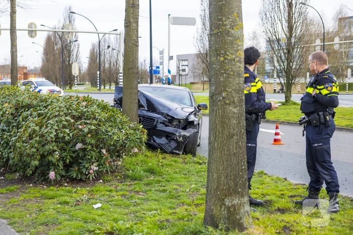 Auto vliegt uit de bocht en botst op boom