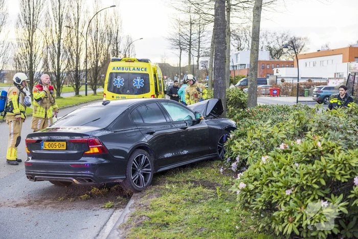 Auto vliegt uit de bocht en botst op boom