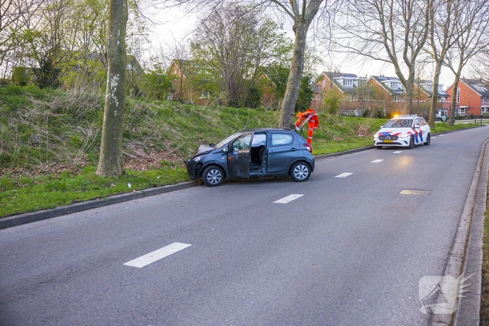 Automobilist botst tegen boom