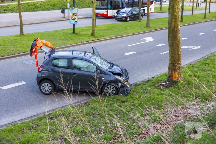 Automobilist botst tegen boom