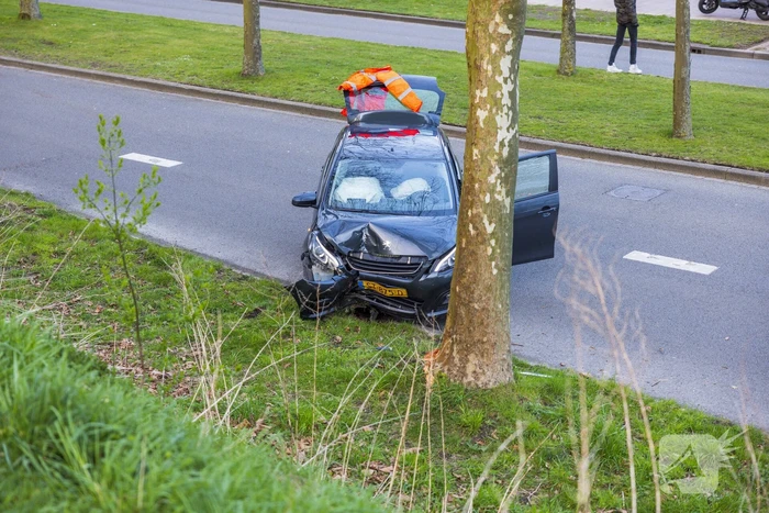 Automobilist botst tegen boom