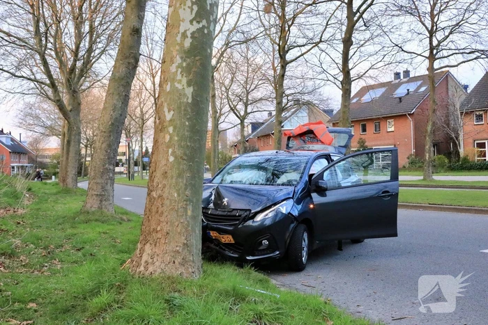 Automobilist botst tegen boom
