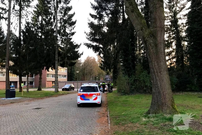 nieuws de lemzijde emmen