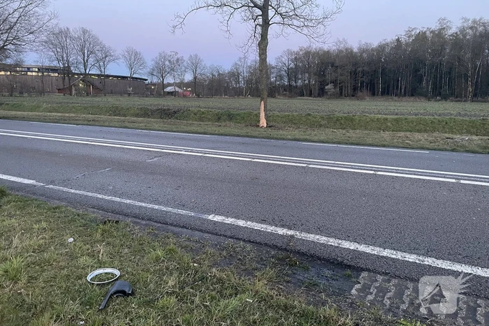 Oldtimer crasht tegen boom