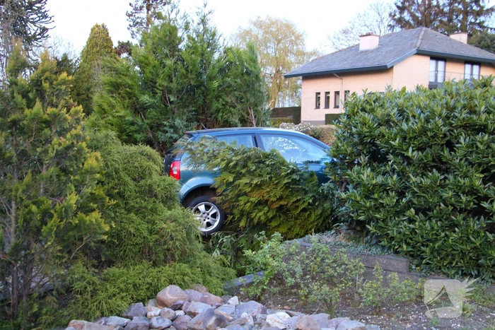 Auto rijdt achteruit voortuin van woning in