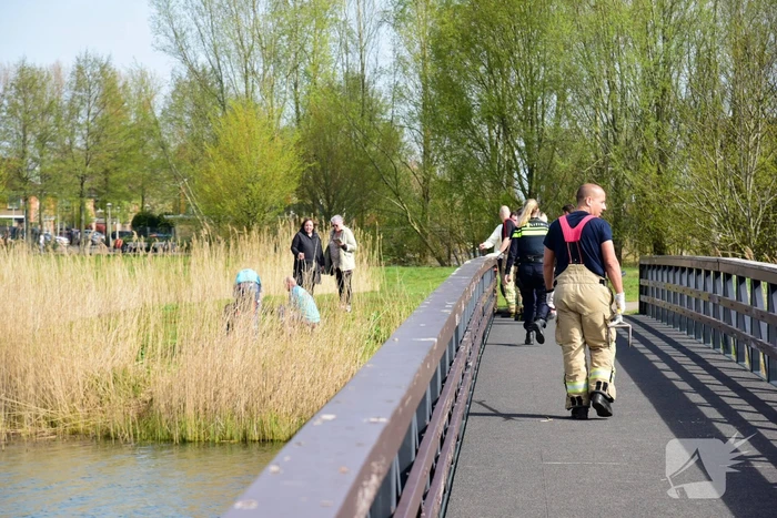 Man glijdt uit en valt in het water
