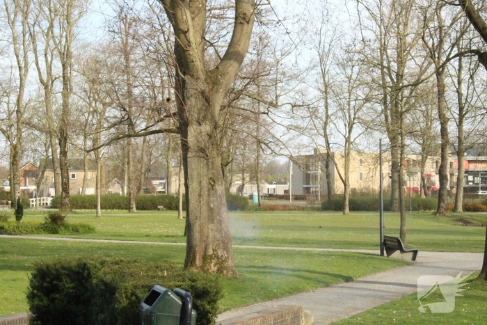 Brandweer blust brand binnenin boom