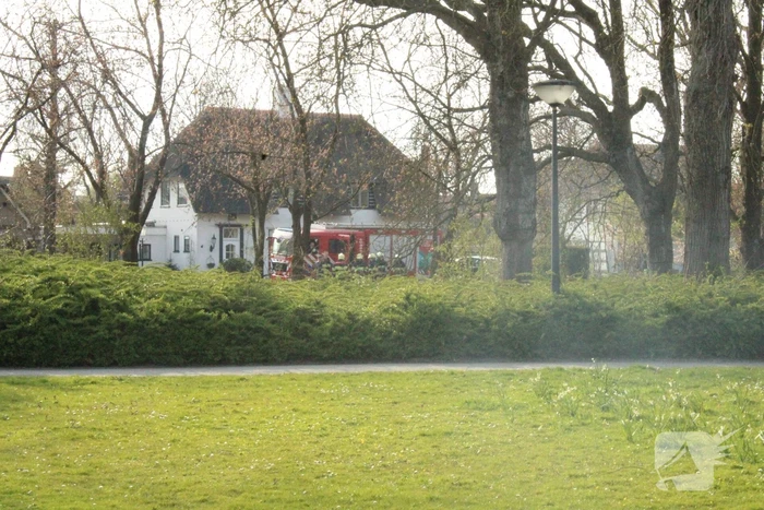 Brandweer blust brand binnenin boom