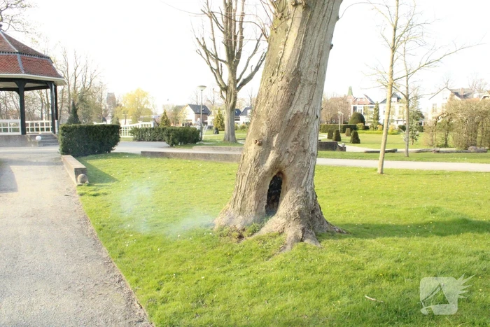 Brandweer blust brand binnenin boom