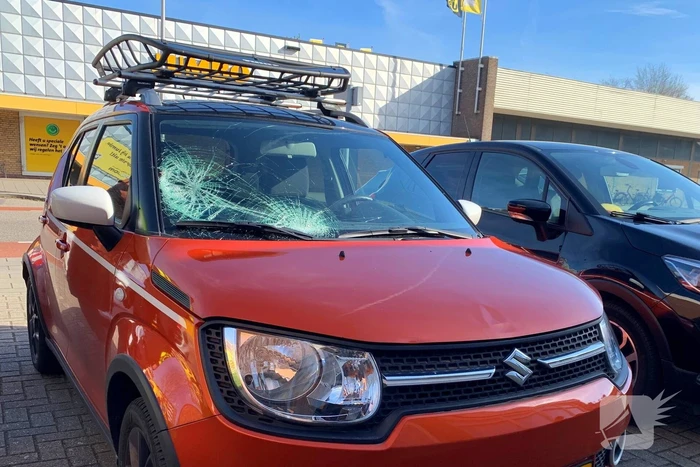 Automobiliste schept voetganger