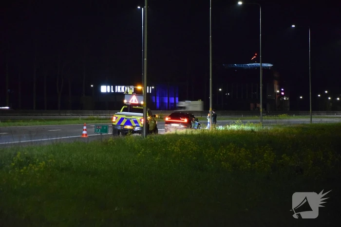 Overstekend wild overleden na ongeval