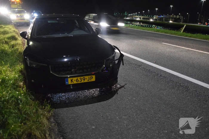 Overstekend wild overleden na ongeval