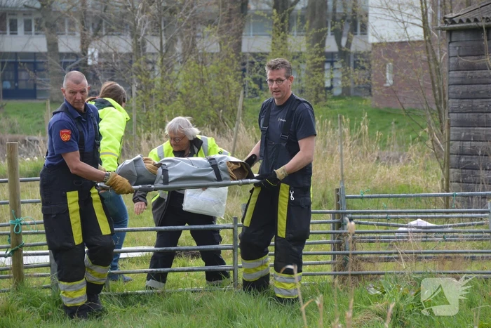 Ree door brandweer gered uit schiphuis