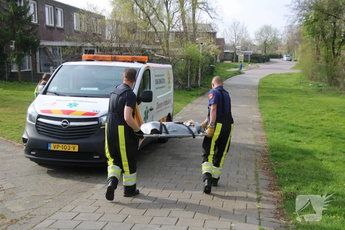 Ree door brandweer gered uit schiphuis
