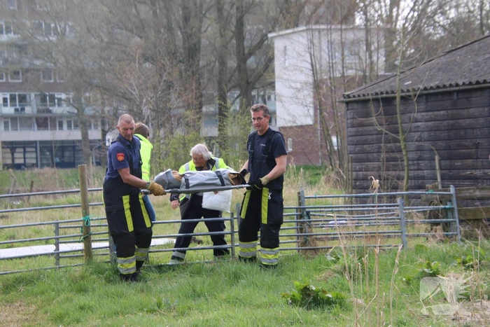 Ree door brandweer gered uit schiphuis