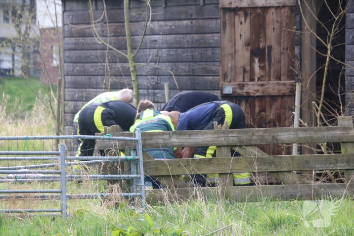 Ree door brandweer gered uit schiphuis