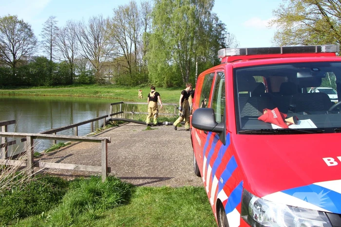 Vijver leeggepompt vanwege vissterfte
