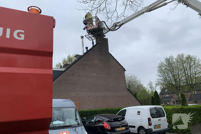 brand singelberg hardenberg